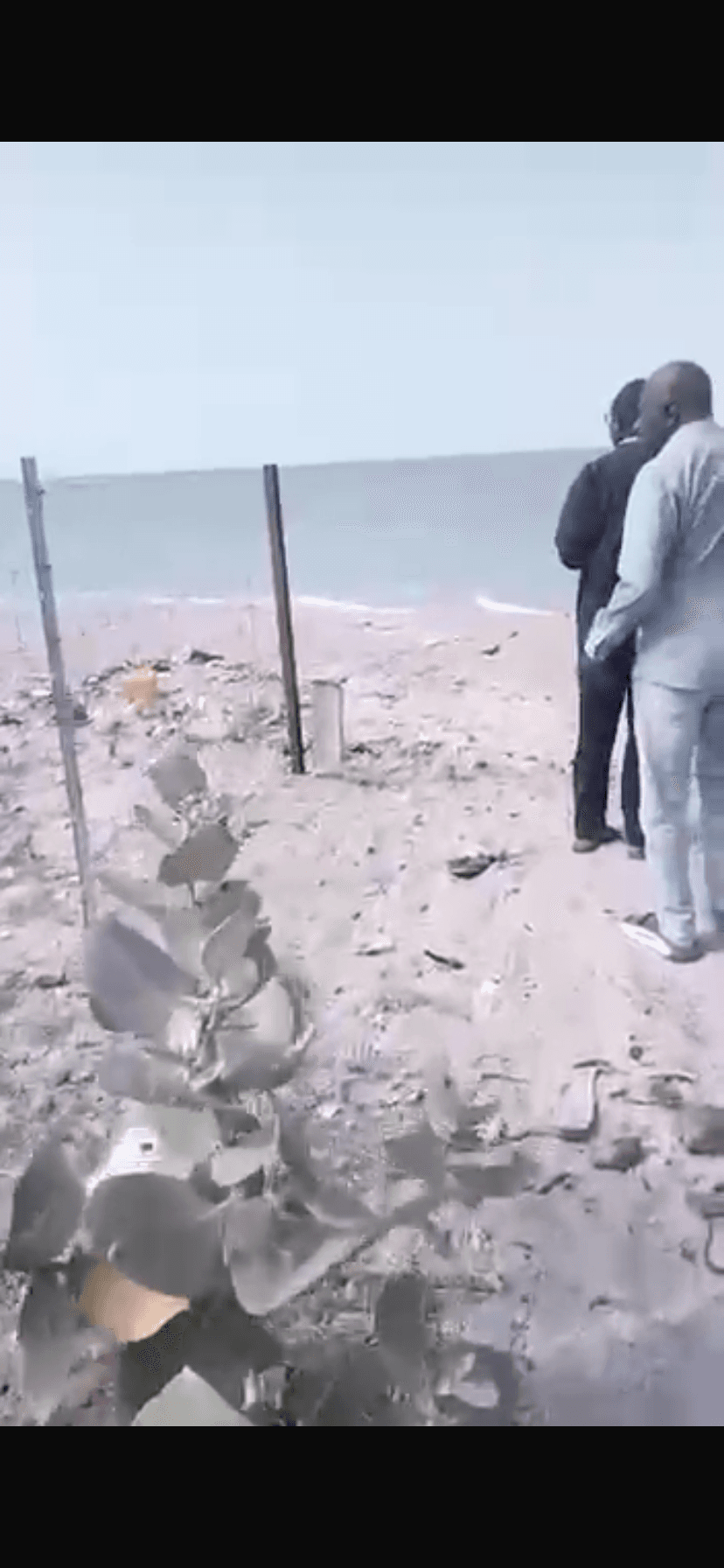 Un terrain de 600m2 à Mbour point saréne - Miniature 9