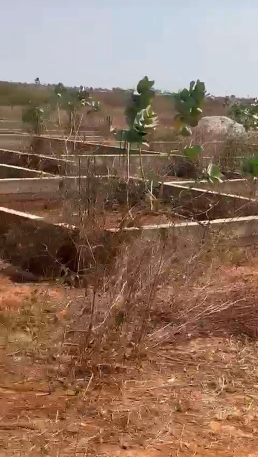 Deux terrains de 300m2 chacun jumelés à Thies à côté du péage ila touba Momboye TF global - Miniature 2